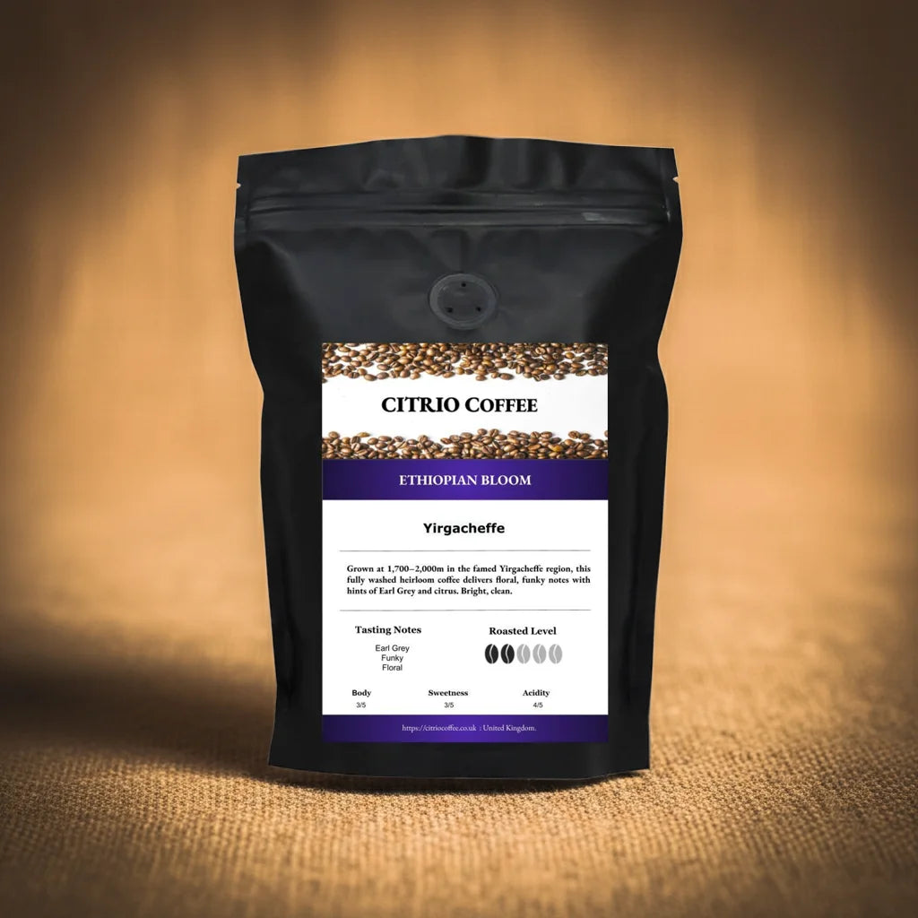 ETHIOPION Bloom - Citrio Coffee